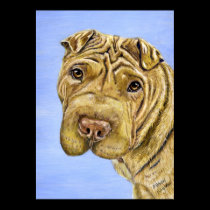 Shar Pei Dog Art - Aspen posters