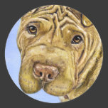 Shar Pei Dog Art - Aspen Round Stickers