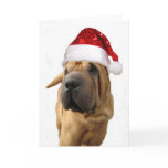 Shar Pei dog Card