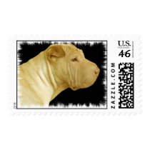 Shar Pei Dog Postage Stamp