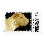 Shar Pei Dog Postage Stamp