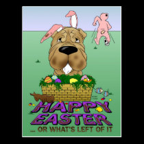 Shar-Pei Happy Easter postcards