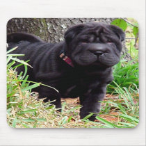 Shar-pei Mouse Pad mousepads