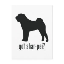 Shar-Pei Postcards