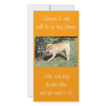Shar Pei Rescue Blank CArd photo cards