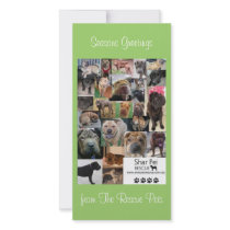 Shar Pei Rescue Xmas Card photo cards