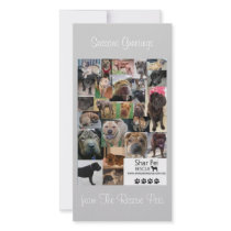 Shar Pei Rescue Xmas Card photo cards