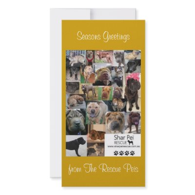 Shar Pei Rescue Xmas Card photo greeting card (10-pack)