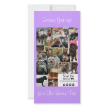 Shar Pei Rescue Xmas Card photo cards