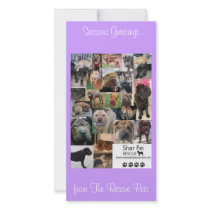 Shar Pei Rescue Xmas Card photo cards