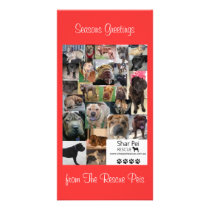Shar Pei Rescue Xmas Card Photo Greeting Card