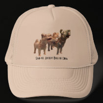 Shar-pei: The Ancient Dog of China hats by ArtisticJuices Shar-pei: The Ancient Dog of China hats