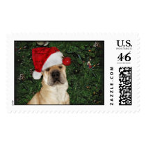 Shar-pei X-mas postage by talonrs Shar-pei X-mas postage