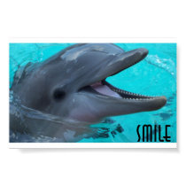 Share a Dolphin's Smile posters