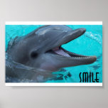 Share a Dolphin's Smile posters