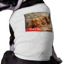 "Share Some Smiles!" Dog Shirt by Tatiana The Dog pet clothing