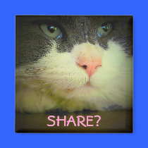 Share with kitty? magnets