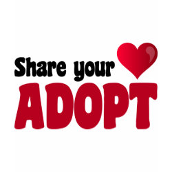 Share Your Heart Adopt shirt