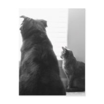 Sharing a quiet moment postcard