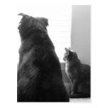 Sharing a quiet moment postcards