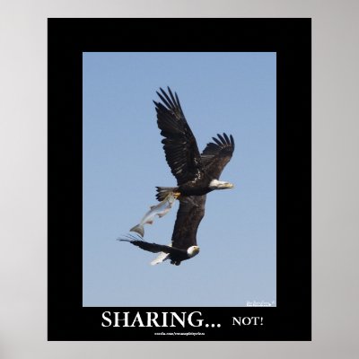 Demotivational Posters  Sale on Sharing Bald Eagles Demotivational Photo Poster From Zazzle Com