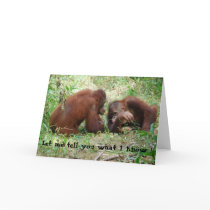 Sharing News card