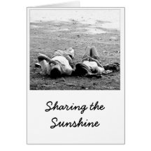 Sharing the Sunshine Greeting Card