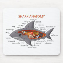 Shark Anatomy Mousepad