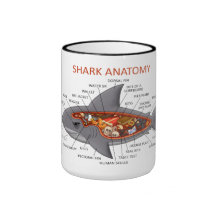 Shark Anatomy Mugs