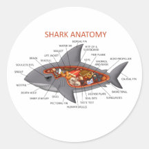 Shark Anatomy Round Stickers