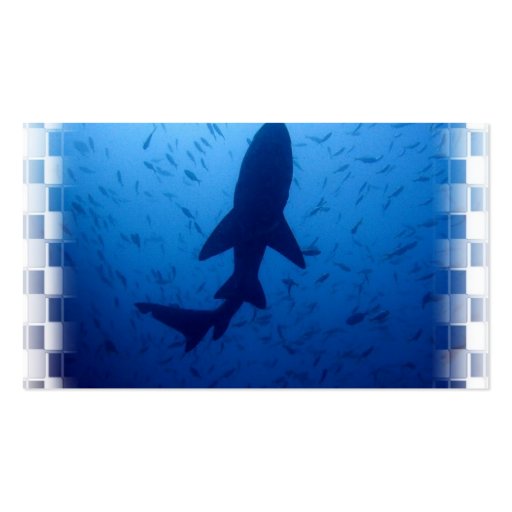 Shark Attack Business Card (back side)