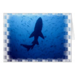 Shark Attack Greeting Card