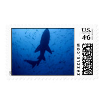 Shark Attack Postage Stamp