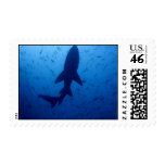 Shark Attack Postage Stamp