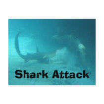 Shark Attack postcards by eblack2000 Shark Attack postcards