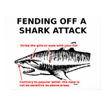 Shark Attack Poster posters