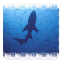 Shark Attack Stickers