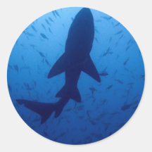 Shark Attack Stickers