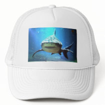 Shark Baseball Hat 