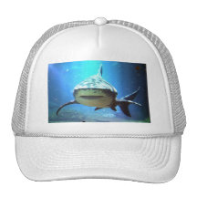 Shark Baseball Hat 