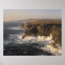 Shark Bay  Poster