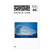 Shark  Bite Stamp