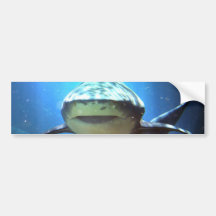 Shark Bumper Sticker
