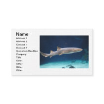 Shark Business Card