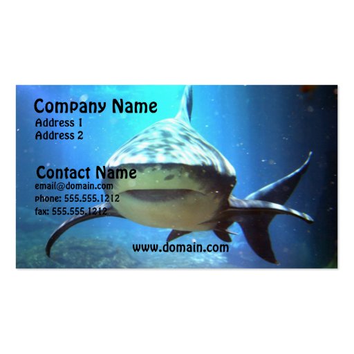 Shark Business Card (front side)