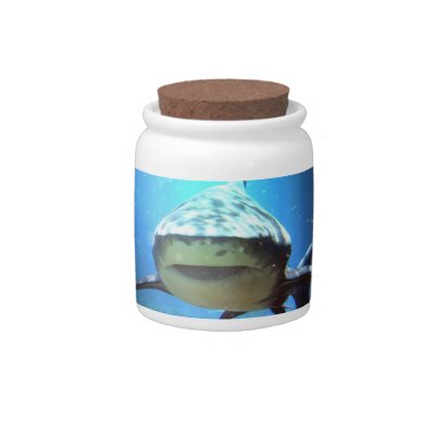 Shark Jar