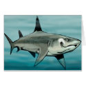Shark cards