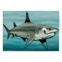 Shark cards