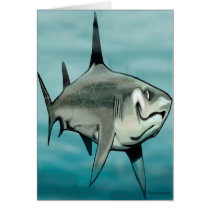 Shark cards