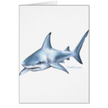 Shark Collection by FishTs.com